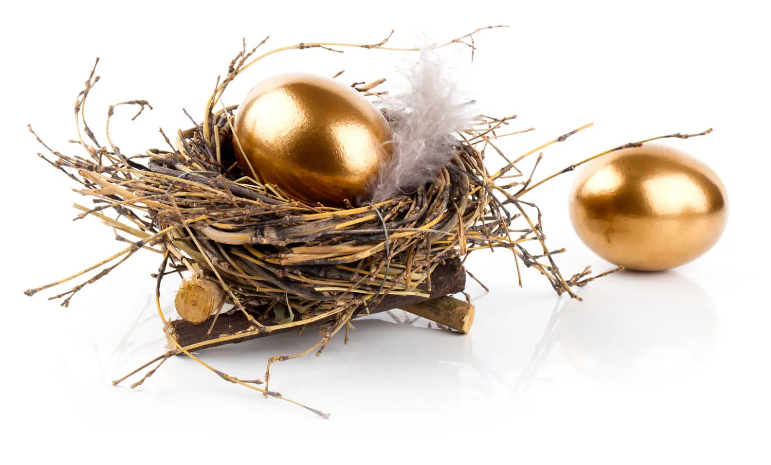 Resources 1 bacina golden egg investments
